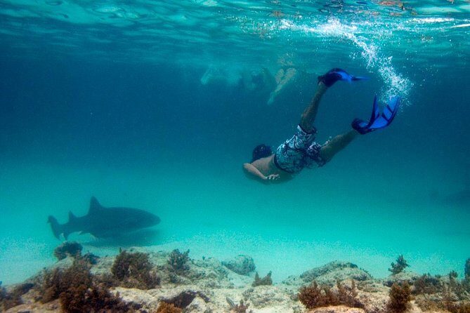 Reef Explorer Half Day Trip - Getting to Bávaro Beach: pickup, timing, and what to pack