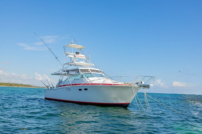 Reel Adventures: A Fin-tastic Fishing Tour - Key points before you cast your line