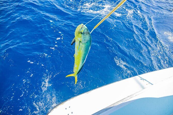 Reel Adventures: A Fin-tastic Fishing Tour - Getting There: Pickup, Mobile Ticket, and Timing