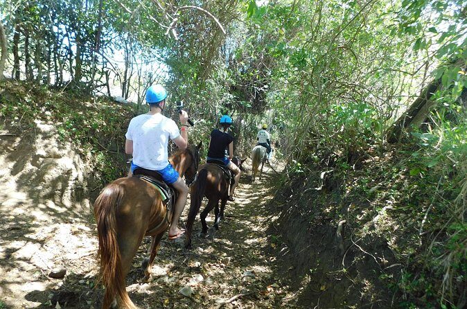 Ride N Zip Adventure - Horseback Riding: Intro Instructions and Trail Time