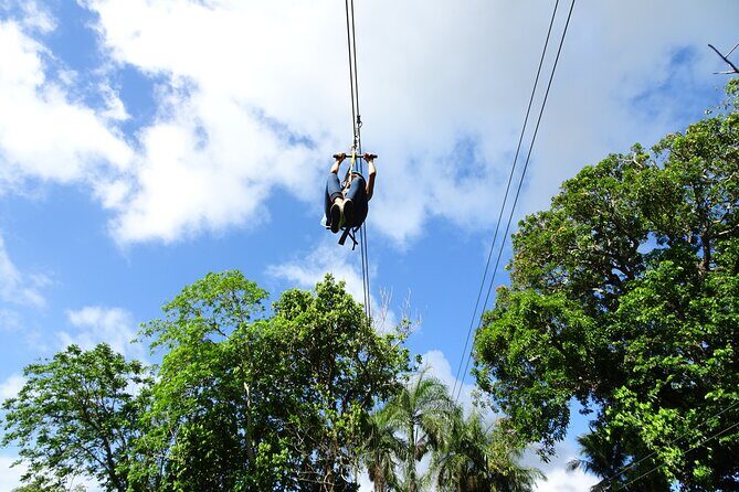 Ride N Zip Adventure - Price and Value: What $94.99 Covers