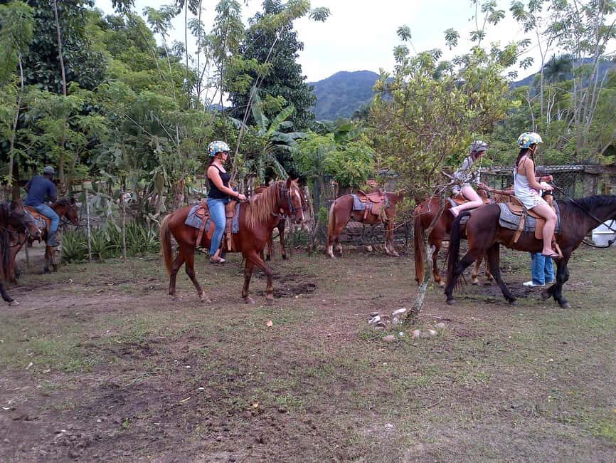 Ride N Zip Adventure in Puerto Plata - From your hotel to Country World Ranch in about 15 minutes