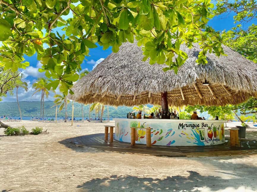 Rincon Beach and Cayo Levantado from Punta Cana - From Punta Cana to Samaná: What the Whole Day Feels Like