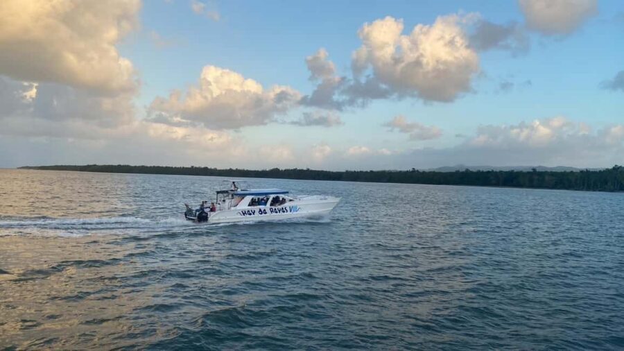 Rincon Beach and Cayo Levantado from Punta Cana - Transportation and Timing: The Comfortable Parts and the Realistic Parts