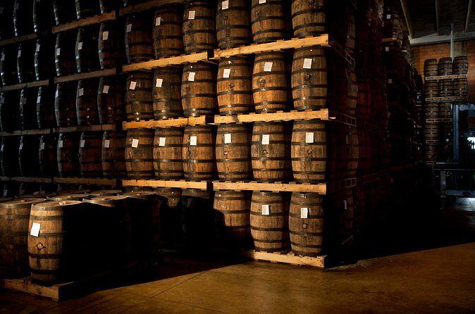 Ron Barcelo Anejo Experience Factory Tour - Who Should Book This Tour (and Who Might Skip It)