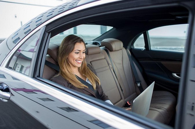 Roundtrip Private Transfer from Punta Cana Airport (PUJ) - Best Fit: Who Should Book This Private Transfer