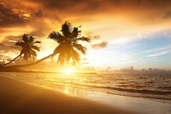 Royalton Bavaro- Round Trip Shuttle - Punta Cana Airport - Round-Trip Planning: Having Your Return Covered