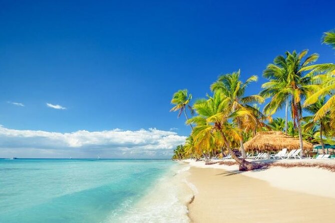 Royalton Punta Cana - Round Trip Shuttle - Punta Cana Airport - Return Trip to the Airport: Fewer Moving Parts