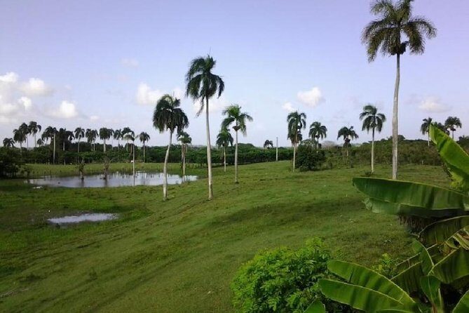 Safari Adventure - Full Day - From Punta Cana - A School Visit and the Community Side of the Day