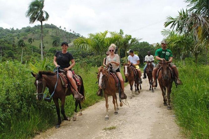 Safari Adventure - Full Day - From Punta Cana - Higüey Basilica: Nuestra Señora de La Altagracia as Your Cultural Reset