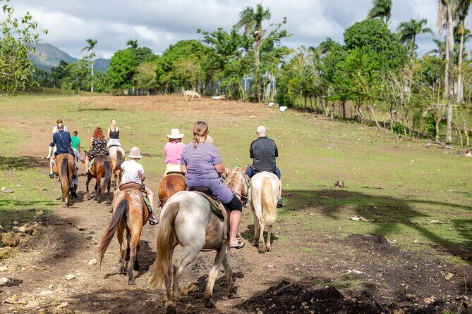 Safari and Higuey Church from Punta Cana - Getting There Smoothly: Pickup, Mobile Ticket, and 8 Hours