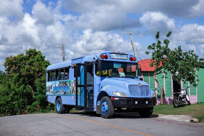 Safari and Higuey Church from Punta Cana - Plantation Stops for Sugarcane, Coffee, Cocoa, and Tobacco