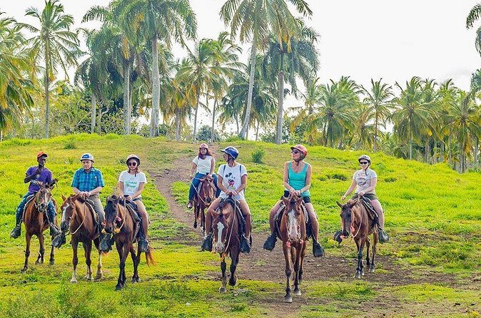 Safari Full Day Outdoor Adventure from Punta Cana - Higüey town stop: souvenirs, cigar demo, and a typical house visit