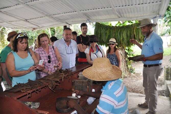 Safari Supreme Full Day Outdoor Adventure Punta Cana - A safari-style day in Punta Cana that actually feels like an adventure