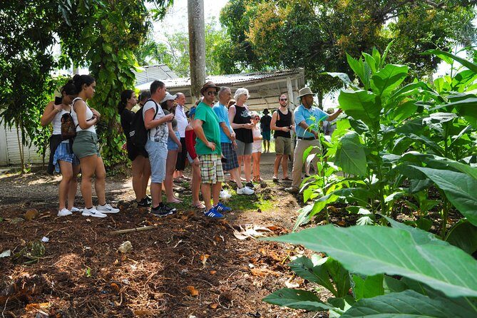 Safari Supreme Full Day Outdoor Adventure Punta Cana - Logistics that matter: timing, pickup, and what to bring