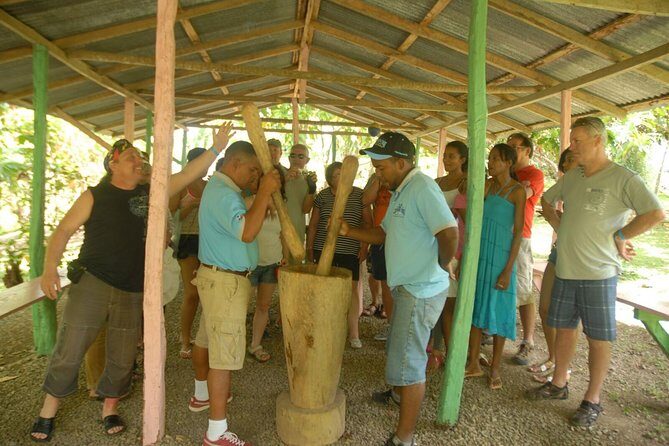 Safari Tour from Punta Cana - 7:30 a.m. Pickup and the 8-hour Punta Cana to Higuey route
