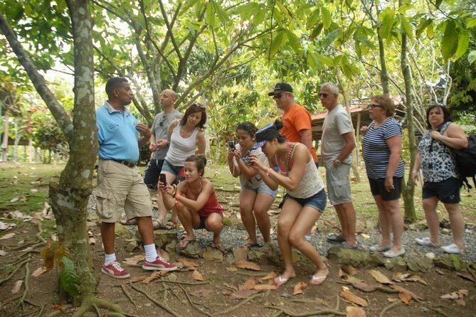 Safari Tour from Punta Cana - Private Ranch horseback riding, cigars, and coffee-style moments