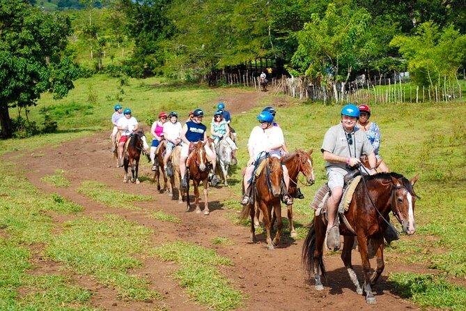 Safari Tour from Punta Cana - Super Large Safari Trucks and a capped group of 30