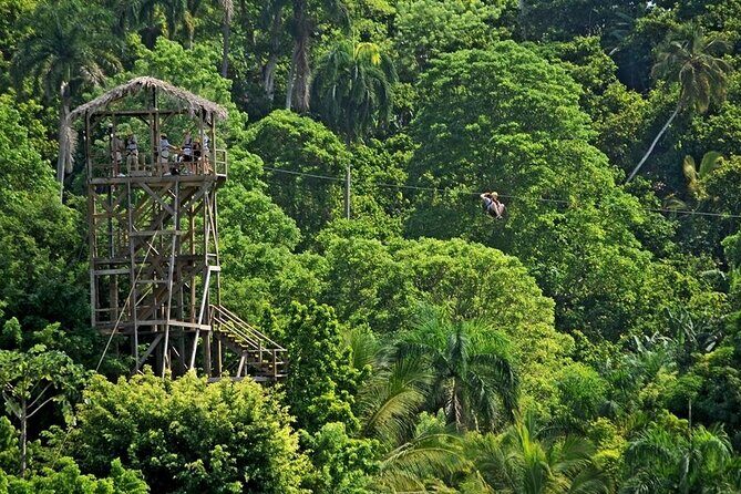 Safari Tour in Punta Cana todo el dia una Aventura inolvidable - Guide Quality Matters: How Stalin, Christian, Esther, and Luis Show Up in the Experience