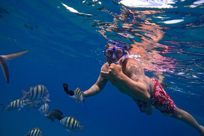 Sailing Catamaran Excursion - A Sosua-to–Puerto Plata sailing day that feels like a plan
