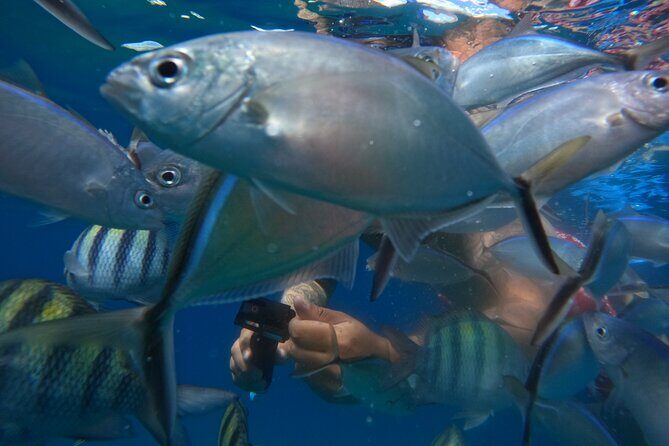 Sailing Catamaran Excursion - Lunch, snacks, and drinks: what you really get for your money