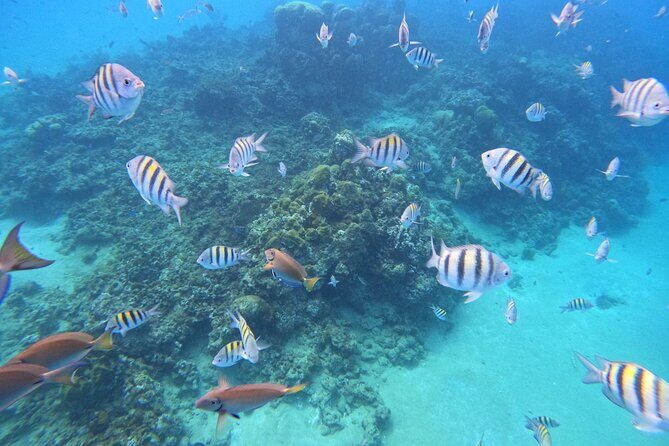 Sailing Catamaran Excursion - Should you book this Sosua catamaran day trip?