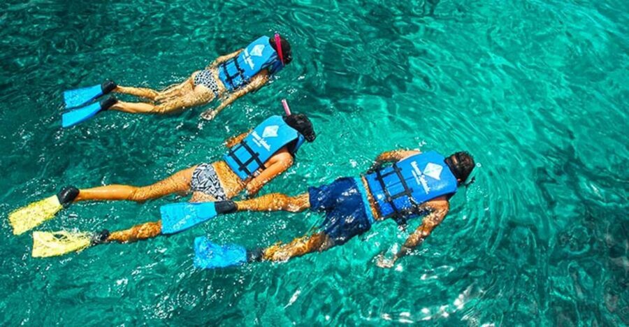 Sailing Splash Tour Speedboat, Snorkel, and Catamaran - Snorkeling and Snuba: Two Ways to See the Punta Cana Reef Fish