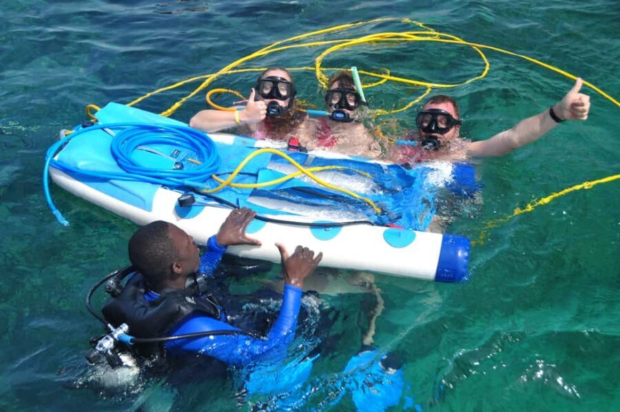 Sailing Splash Tour Speedboat, Snorkel, and Catamaran - Shark and Stingray Interaction: What to Expect and How to Stay Comfortable