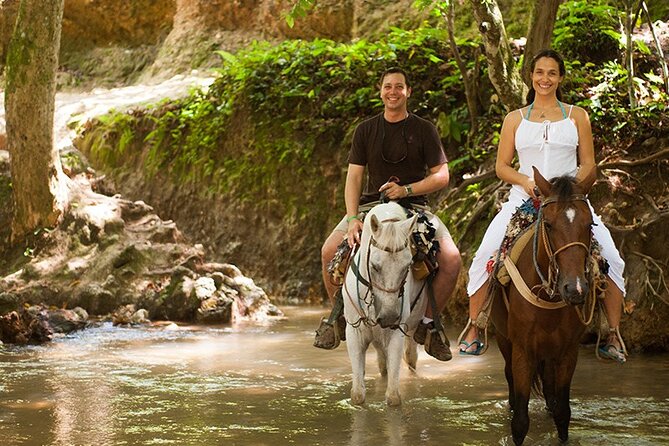 Samana: Bacardi Island and El Limon Waterfall - Timing and pacing: how the day actually flows