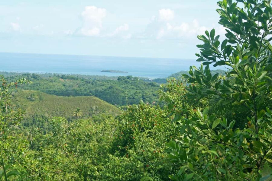 Samaná: El Limón Waterfall Horseback Riding Tour - Key things to know before you go