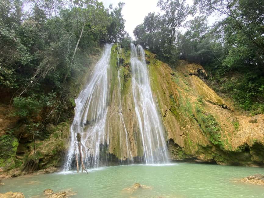 Samaná: El Limón Waterfall Horseback Riding Tour - Price and value: is $60 a fair deal?