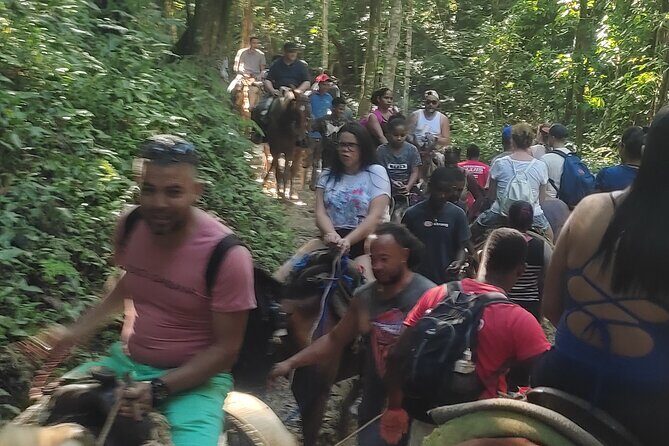 Samana Full Day Waterfall, Safari and Beach - Safari-style stops and beach time: balance your energy