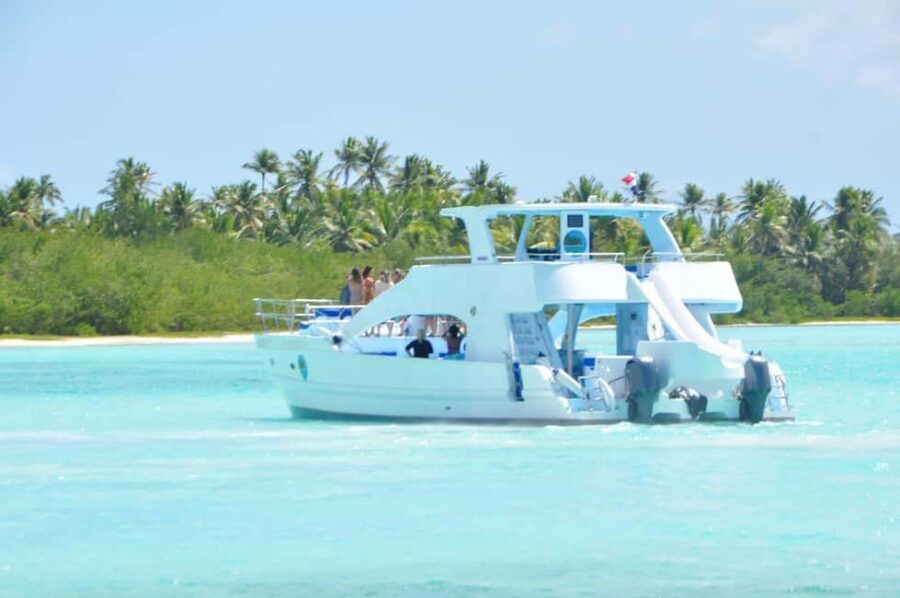 Samana: Half Day Whale Watching Humpback Whale Watching - What makes this half-day whale watch worth your time