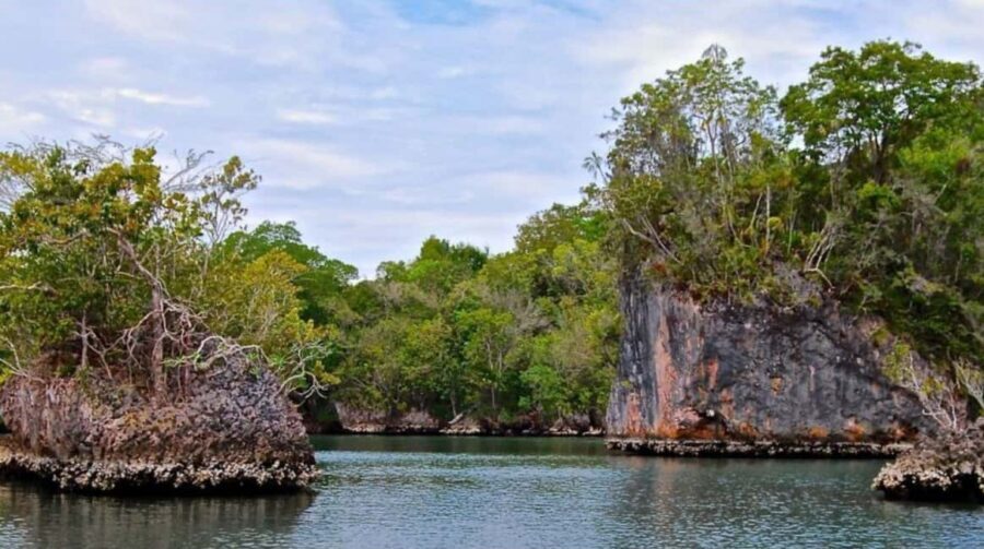 Samana: Los Haitises National Park & Caño Hondo Day Tour - Los Haitises National Park by boat: what you’re actually seeing