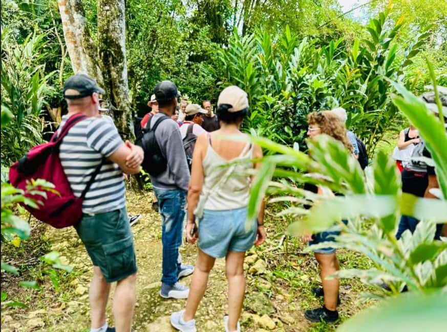 Samana: Los Haitises National Park & Caño Hondo Day Tour - Getting the meeting point right: what to watch for day-before contact