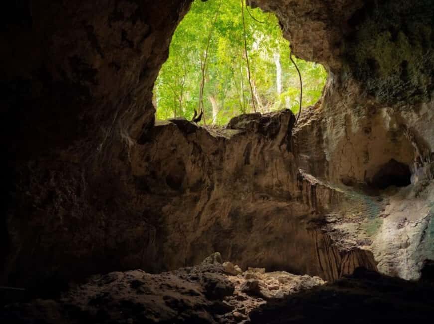 Samana: Los Haitises National Park & Caño Hondo Day Tour - Who this tour fits (and who should skip it)