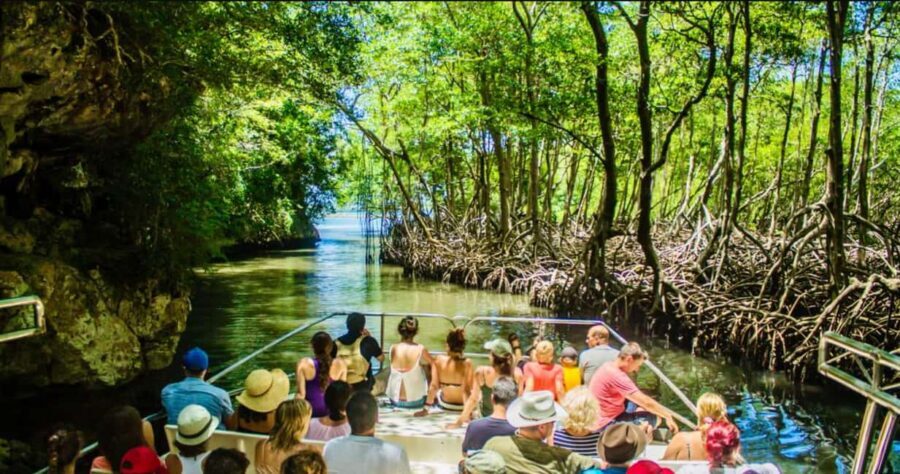 Samana: Los Haitises National Park & Cayo Levantado Tour - Key things to know before you go