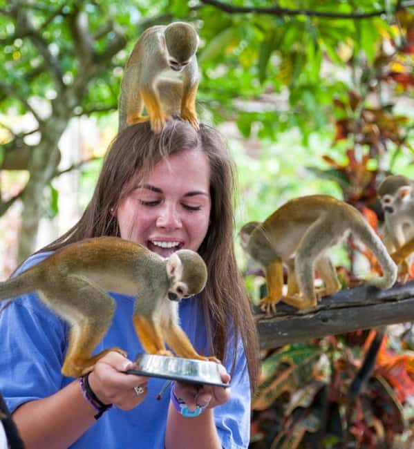 Samaná: Monkeyland and Open-Air Safari Truck Tour - Entering Monkeyland: What the Close-Up Feeding Really Feels Like