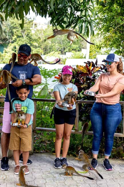 Samaná: Monkeyland and Open-Air Safari Truck Tour - Practical Tips That Improve Your Monkeyland Day