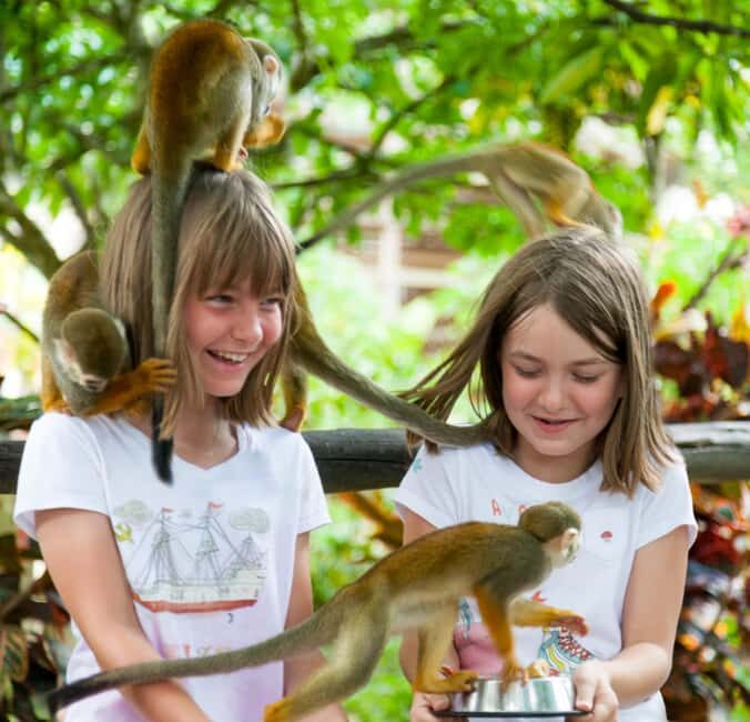 Samaná: Monkeyland and Open-Air Safari Truck Tour - The Monkey Behavior Tip: Shiny Stuff Is Monkey Magnets