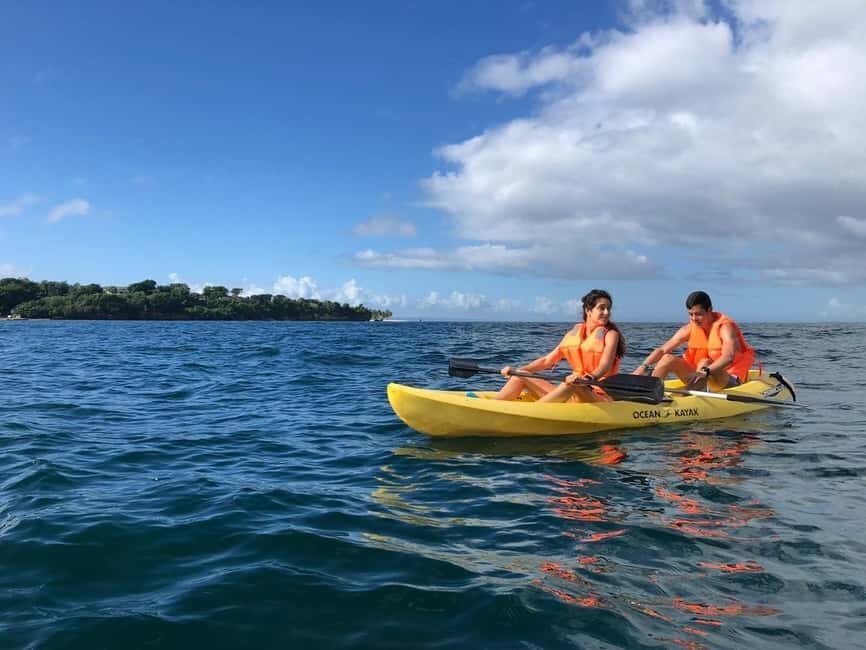 Samaná: Whale, Cayo Levantado, & Kayak in Samaná Bay Tour - What to pack and how to plan your body for the day