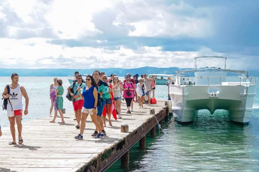 Samanà Whale Watching and Bacardi Island Tour From Bayahibe - Should you book the Samaná Whale Watching and Bacardi Island Tour from Bayahibe?