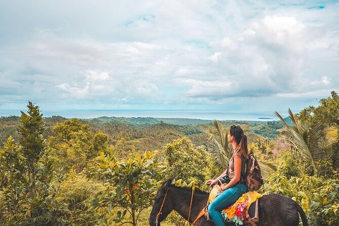 Samaná Whale Watching, waterfall & Cayo Levantado Adventure - Cayo Levantado (Bacardi Island): swim, hammock, and that post-waterfall relief