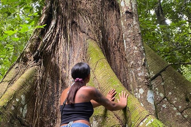 Samaná Whale Watching, waterfall & Cayo Levantado Adventure - Horseback ride to El Limón Waterfall: the big physical highlight