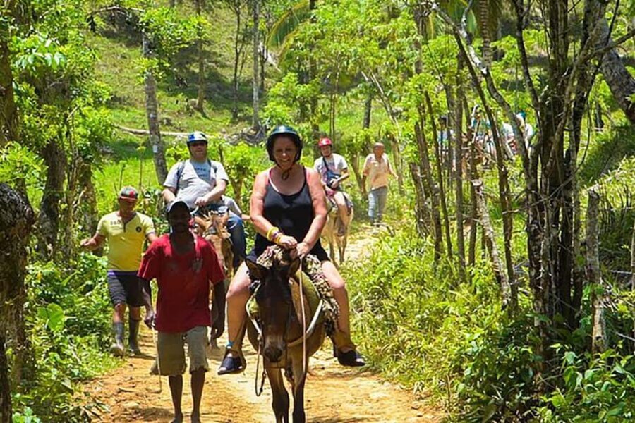 Samaná Whales Full Day, Cayo Levantado, Limón Waterfall - Hotel Pickup to Samaná Pier: The Long Ride That Makes the Day