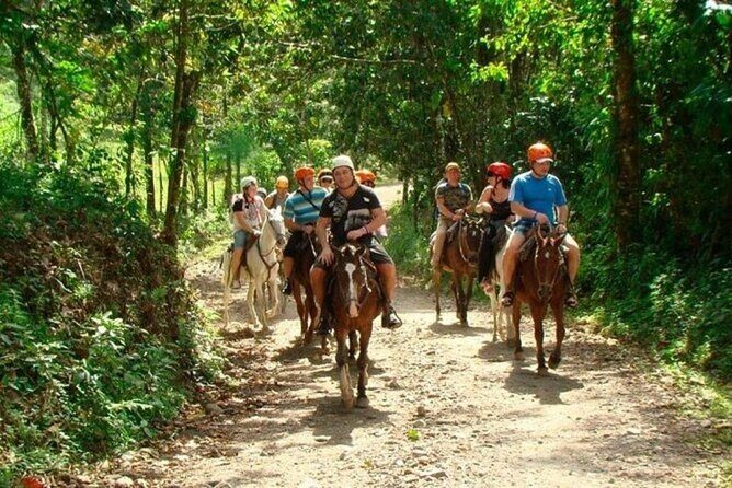 Samana+Baracardi Island Tour And Lemon Jump From PUJ - Route overview: how the day is paced