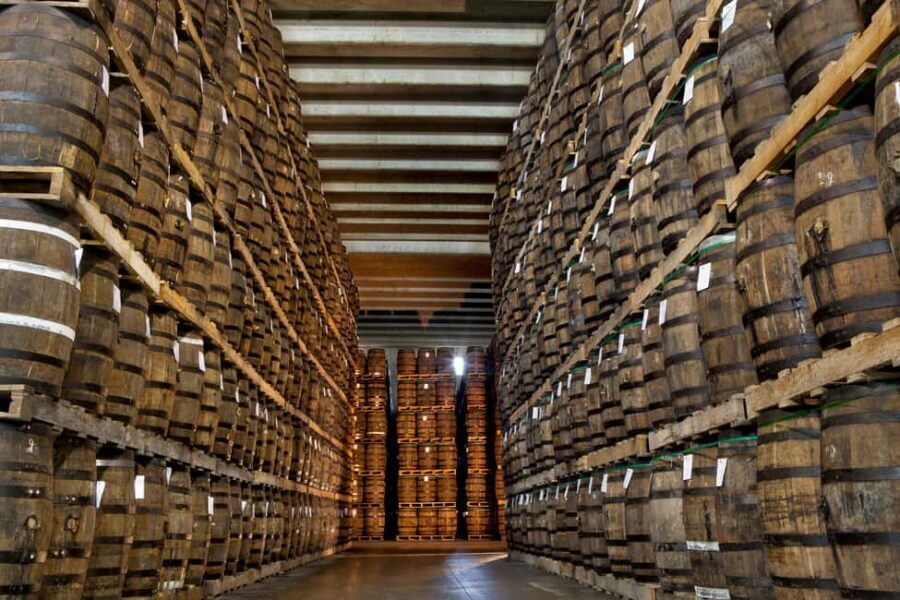 San Pedro De Macoris: Ron Barcerló Rum Factory Tour - Museum and Historic Center Barceló: what you learn after the factory