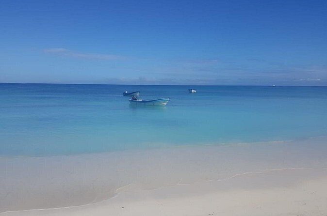 Sand fell Paradise Island Excursions - Who This Tour Fits Best