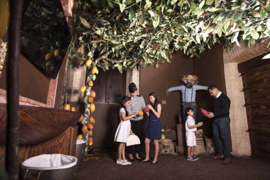 Santo Domingo: Chocolate Tour + Optional Workshops - Optional workshops after the tour: chocolate bar or cacao-butter soap
