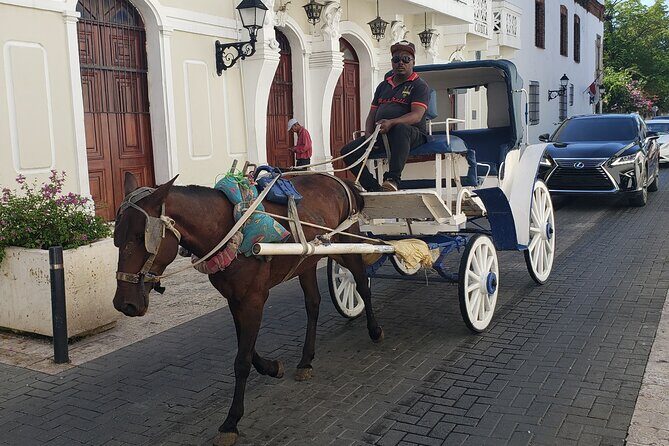 Santo Domingo City Tours Full Day From Punta Cana - Shopping Stops and How to Keep Control of Your Day